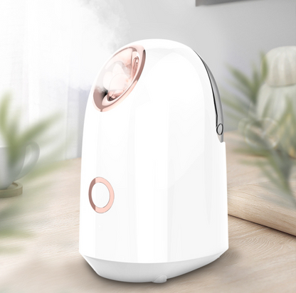 Facial Steamer Device